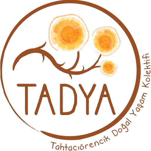 cropped-tadya_logo2.fw